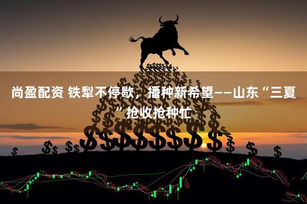 尚盈配资 铁犁不停歇，播种新希望——山东“三夏”抢收抢种忙