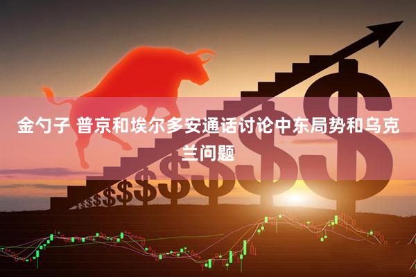 金勺子 普京和埃尔多安通话讨论中东局势和乌克兰问题
