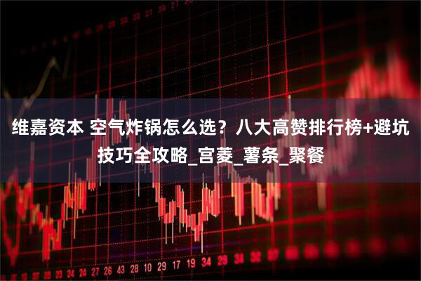 维嘉资本 空气炸锅怎么选？八大高赞排行榜+避坑技巧全攻略_宫菱_薯条_聚餐