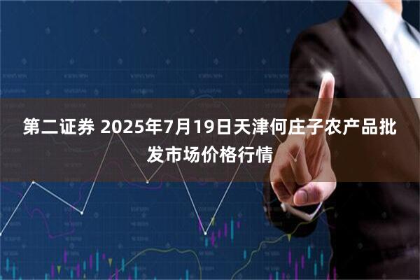 第二证券 2025年7月19日天津何庄子农产品批发市场价格行情