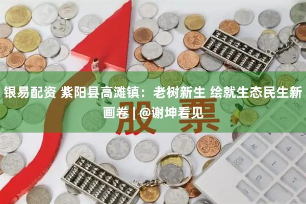 银易配资 紫阳县高滩镇：老树新生 绘就生态民生新画卷 | @谢坤看见